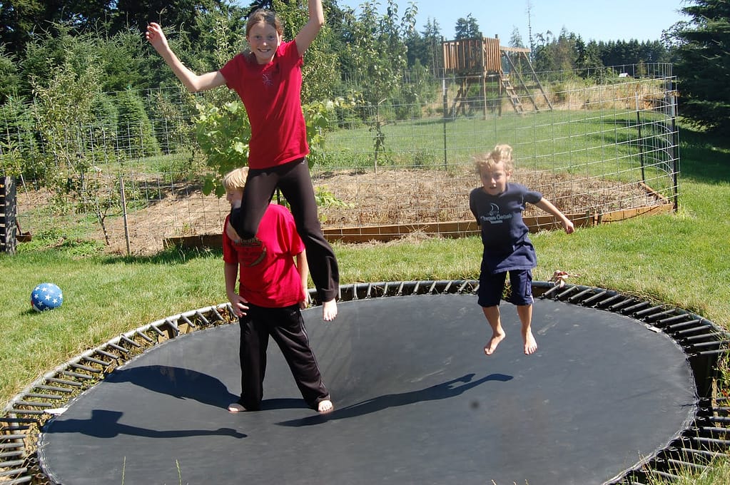 Bouncing on The Trampoline