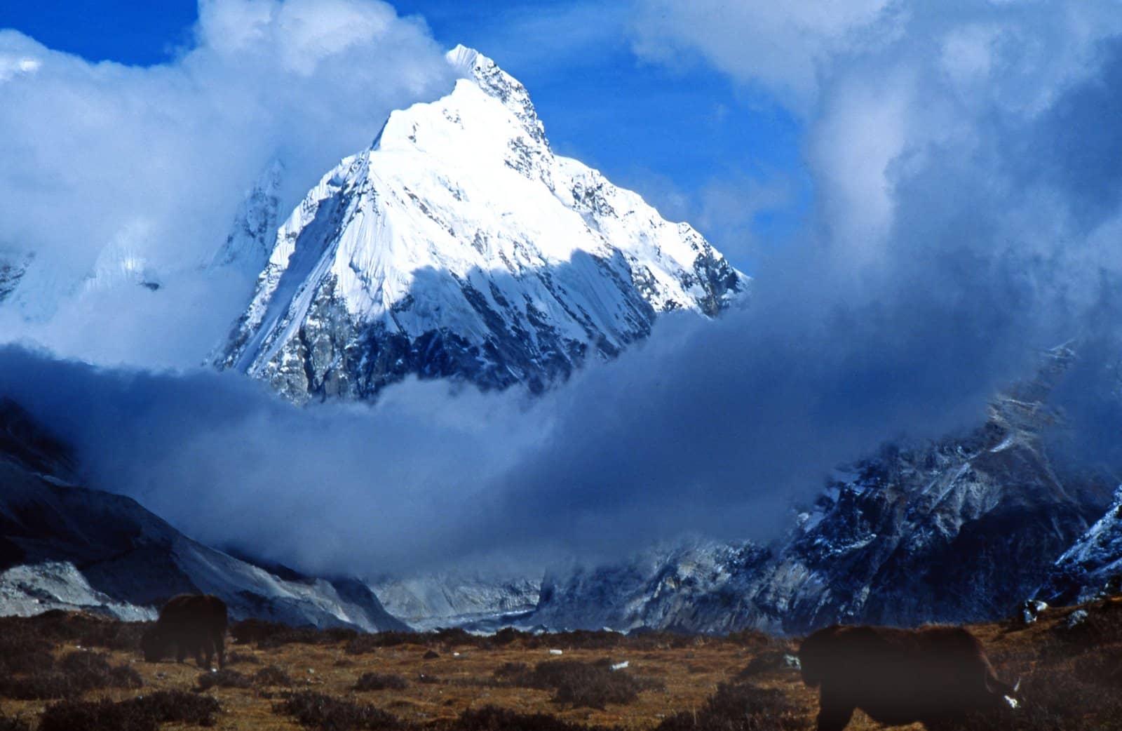 Гималаи море. Непал вершина Канченджанга. Горный массив Канченджанга. Канченджанга Гималаи 8586 метров. Канченджанга 5 вершин.
